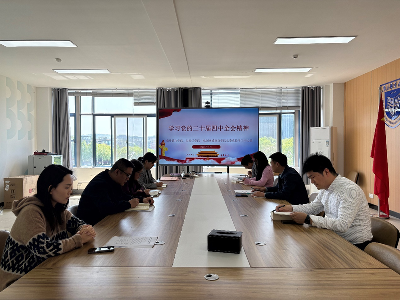 海外教育学院、yl88858永利、欧洲塞浦路斯学院党委理论学习中心组专题学习党的二十届四中全会精神